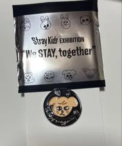 2026年最新】straykids バッジの人気アイテム - メルカリ