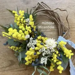 ミランドール産ミモザと貝細工のハーフリース　ユーカリ　春待ち