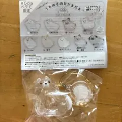 うちの子のけだまだま　ポメラニアン　C-pla ペテモ　限定