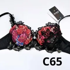 ワコール/サルート 46G 新品タグ付 p-upブラ C65