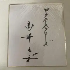 ヤクルトスワローズ　高津臣吾　直筆サイン
