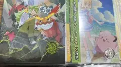 【セット】コレクションファイルセット　リーリエ N　※ファイルとコイン