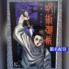 呪術廻戦 乙骨憂太 ポスター カラーイラスト 切り抜き 原作 カード