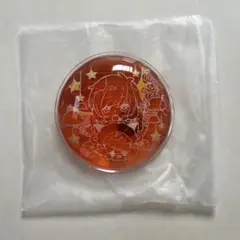 天月 エコカイロ