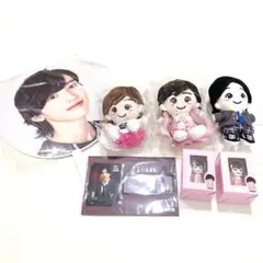 【匿名配送】 なにわ男子　道枝駿佑　グッズ　まとめ売り　うちわ　ちびぬい　指人形