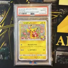 【PSA10】ピカチュウ224/SM-P　20周年　プロモ　みんなでいわう