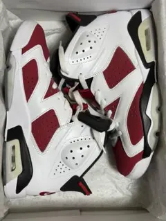 洗浄済み‼️Air Jordan 6 