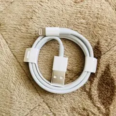 Lightningケーブル USB-A ホワイト