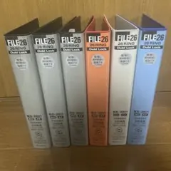 Item thumbnail for item 0b5e295f-7bb7-4236-9a0b-f8b7f1f71b1a