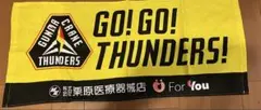 群馬クレインサンダーズ 応援タオル