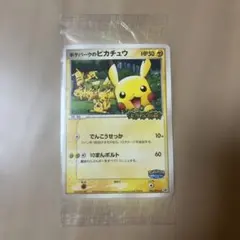 2025年最新】ポケモンパーク カードの人気アイテム - メルカリ