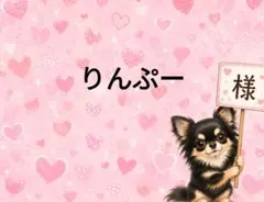 【超激レア‼️】ハローキティ 世界の子犬とお散歩シリーズ　ダックスフンド（ドイツ） 超激レア‼️】ハローキティ 世界の子犬とお散歩シリーズ ダックス