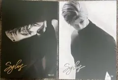 即購入可　シン　ミニカードセット1116②