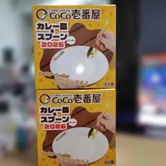 CoCo壱番屋 レトルトカレー10食 ギフトセット　賞味期限2028.5月～6月 CoCo壱番屋 レトルトカレー10食 ギフトセット 賞味期限2028.5月～6月