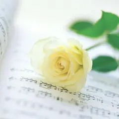 ＊専用＊オーダーページ＊