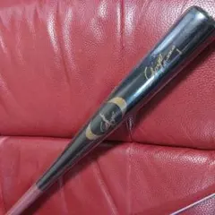 Item thumbnail for item 2aa6db8a-dccc-4832-aeb4-099c448a6aa2