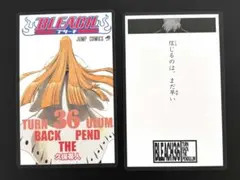 BLEACH ブリーチ 巻頭歌骨牌 21巻 平子真子 かるた - メルカリ