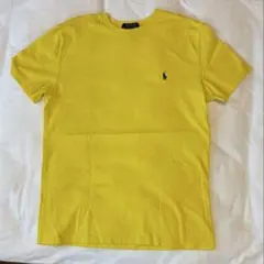 POLO RALPH LAUREN コットン100% Tシャツ レディース L