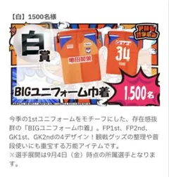 アルビレックス新潟 BIGユニフォーム巾着 MICHAEL 5