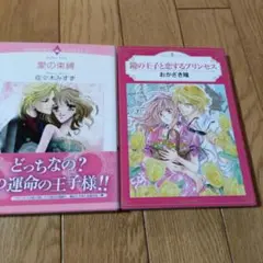 鏡の王子と恋するプリンセス　愛の束縛