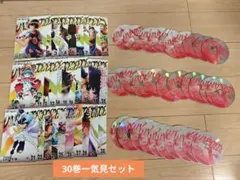 ワンピースドレスローザ編 全巻完結セット dvd - メルカリ