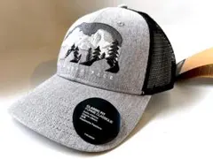 THE NORTH FACE グレー ベースボールキャップ