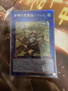 二*之様 蒼翠の風霊使いウィン　25th Amazon.co.jp: 遊戯王カード 蒼翠の風霊使い ウィン(25th