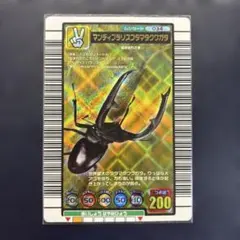 マンディブラリスフタマタクワガタ ゲームカード