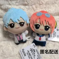 銀魂 3年Z組 銀八先生 みみぐるみ 坂田銀八 坂田銀時 - メルカリ