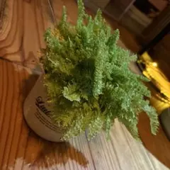 chibo様 リクエスト 2点 まとめ商品