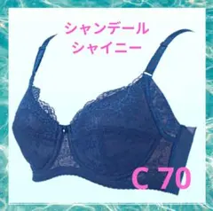 2026年最新】シャンデール ブラジャーの人気アイテム - メルカリ