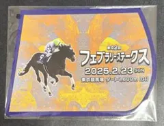 JRAフェブラリーステークスポスター【B1】 - メルカリ