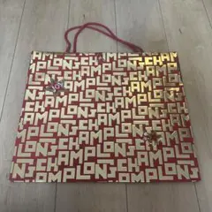 ★ロンシャン　ショップ袋★ 赤　限定ショッパー　紙袋　大　大きめ