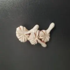 Item thumbnail for item 1bcb7495-36c8-4a0d-9204-4a33466a6c2f