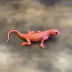 デアゴスティーニ イグアナ