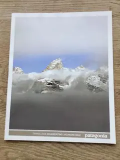 2026年最新】パタゴニア カタログ 1995の人気アイテム - メルカリ