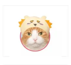 ちいかわ ねこのかぶりもの シーサー