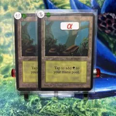 MTG 絶版 希少品 アルファ 基本土地 島×1枚 森×1枚 2枚セット MTG 絶版 希少品 アルファ 基本土地 島×1枚 森×1枚 2枚セット - メルカリ