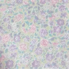 Item thumbnail for item 2c9fd66e-bdad-4277-8e98-5551e9f34dd5