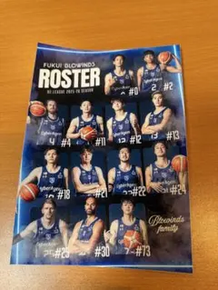 福井ブロウインズ 2025-26シーズン ステッカー　非売品