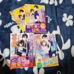 ベリーズ文庫2026年2月発売 3冊