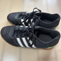 Item thumbnail for item fdaf54ab-5017-402e-bf21-f5a315b5f827