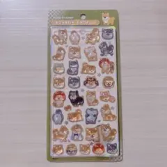 @891様 専用です。