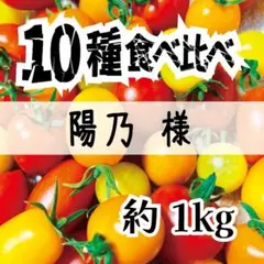 【ソムリエトマト】陽乃様専用