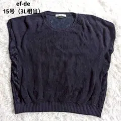 【エフデ】レース切替ニット フレンチスリーブ 15号 大きいサイズ 透け感ありのサムネイル