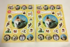 Item thumbnail for item d7486fcc-aef8-422d-bd5f-62ce8aef2abf