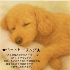 Item thumbnail for item f0ccd698-29c7-4129-a0c6-6b50c35e3384