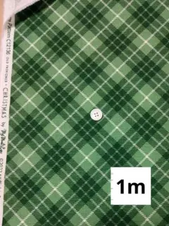 USAコットン　チェック柄　グリーン　Riley Blake　1m