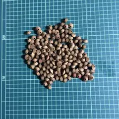 Item thumbnail for item a793a89f-3602-4b26-b5b2-f97521bbc628