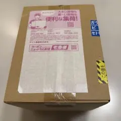 S.H.Figuarts 孫悟空＆龍 -40周年記念Edition-